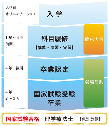 理学療法士になるまで