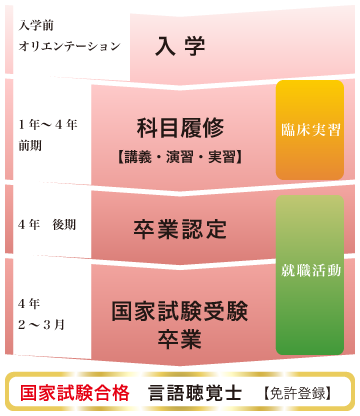 言語聴覚士になるまで