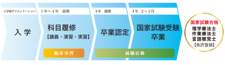 理学療法士/作業療法士/言語聴覚士になるまで